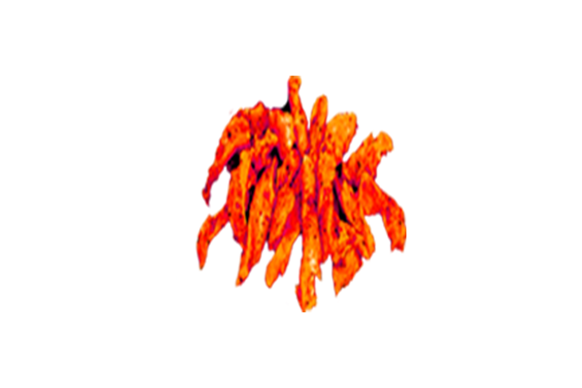 Poulet Tandoori